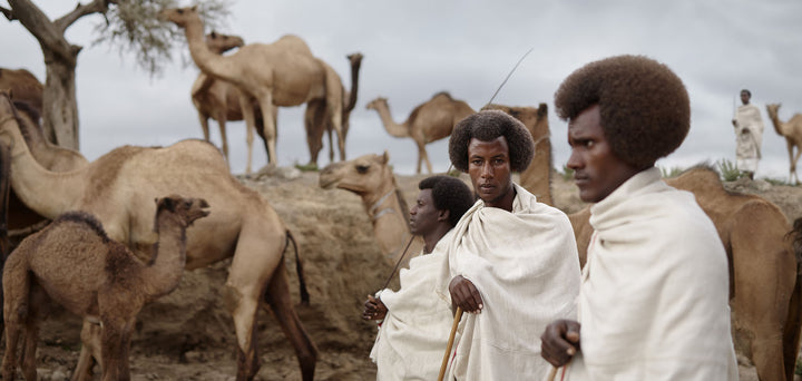 Ethiopia #1 - Panorama of Boru, Woday, Fentale and camels