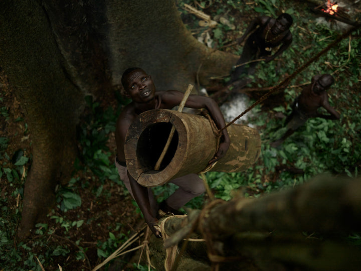 Ethiopia #47 - Woretak carries a false bee hive up a tree