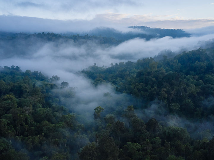 Ethiopia #48 - Mist rolls over the Kafa Biosphere Reserve