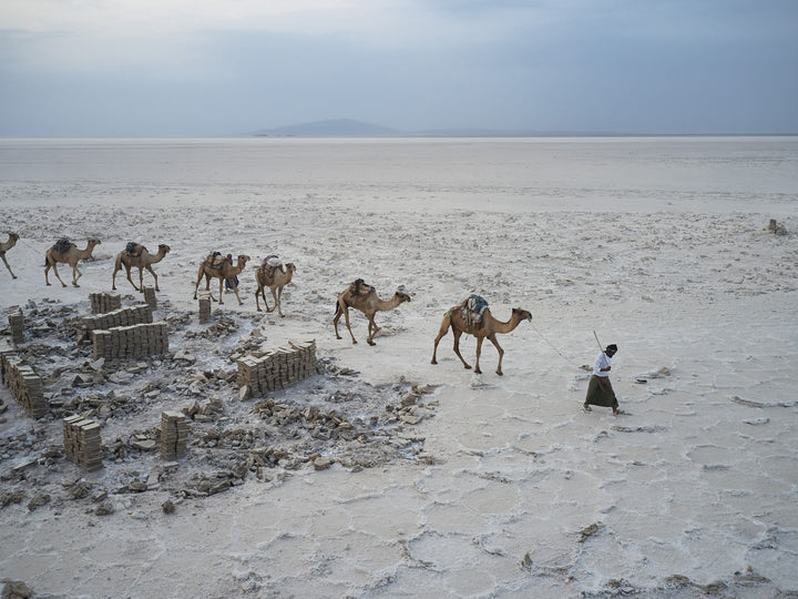 Ethiopia #9 - An Afar camel caravan loads bricks of salt