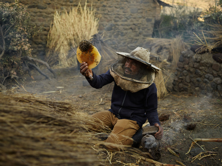 Ethiopia #58 - Sisay harvesting honey in his backyard